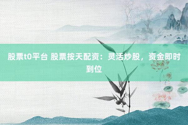 股票t0平臺(tái) 股票按天配資：靈活炒股，資金即時(shí)到位