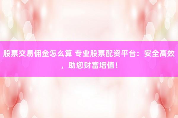 股票交易傭金怎么算 專業(yè)股票配資平臺：安全高效，助您財富增值！