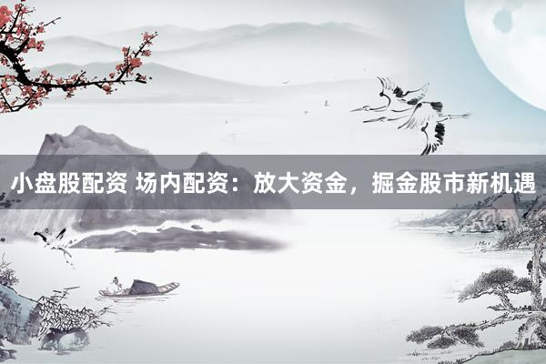 小盤股配資 場(chǎng)內(nèi)配資：放大資金，掘金股市新機(jī)遇